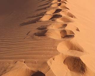 Fußspuren führen über eine sanfte Sanddüne – ein Symbol für Stille, Reduktion und inneren Neubeginn. WUNDERORTE lädt ein zu einer Reise, die mehr ist als Urlaub.