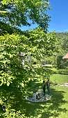 Großzügiger Garten mit Natursteinhaus und Baumstamm-Sitzplatz in Arco bei Gardasee – perfekte Lage für Familienurlaub inmitten grüner Natur I WUNDERORTE