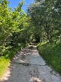 Schmaler Naturweg durch dichten Wald bei Arco – Teil der ruhigen Anfahrt zum Berghaus am Gardasee I WUNDERORTE