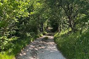 Schmaler Naturweg durch dichten Wald bei Arco – Teil der ruhigen Anfahrt zum Berghaus am Gardasee I WUNDERORTE