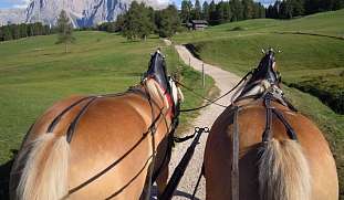 familienurlaub-reiterferien-ferienwohnung-südtirol-wunderorte