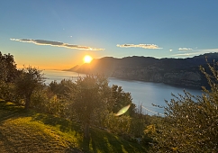 Sonnenuntergang über dem Gardasee bei Malcesine, eingerahmt von Olivenbäumen – ein stiller, goldener Moment am Wasser
