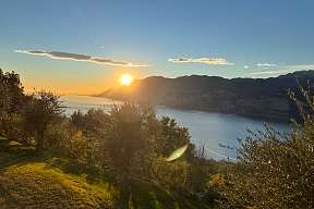 Sonnenuntergang über dem Gardasee bei Malcesine, eingerahmt von Olivenbäumen – ein stiller, goldener Moment am Wasser