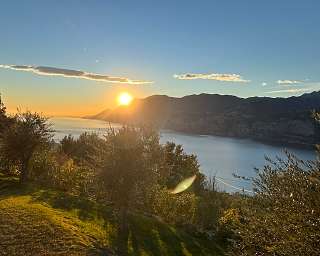 Goldenes Abendlicht über dem Gardasee mit Olivenbäumen im Vordergrund – ein Moment der Ruhe und Weite | WUNDERORTE
