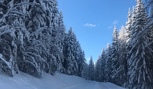 wunderreisen-skiurlaub-spirituell-weihnachten-schnee-reisen-buchen