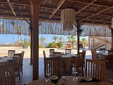 Überdachte Restaurantterrasse mit Palmenblick am Strand des Breakers Hotels – entspannter Genussurlaub am Roten Meer