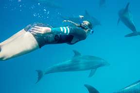 Frau schnorchelt mit Delfinen im klaren Wasser des Roten Meeres – beeindruckendes Naturerlebnis beim Urlaub im Hotel The Breakers