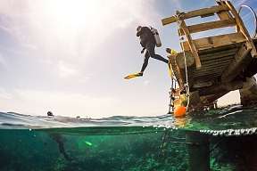 Taucher mit Flossen springt vom Jetty direkt ins Rote Meer – Einstieg am Diving Center vom Hotel The Breakers
