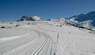 Perfekt präparierte Langlaufloipe mit Dolomitenblick unter blauem Himmel – Winterurlaub für Aktive in Südtirol I WUNDERORTE