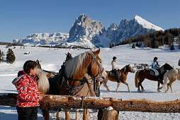 Ein Kind beobachtet Haflinger und Reiter im verschneiten Dolomitenpanorama – Wintererlebnis für Familien in Tirol I WUNDERORTE