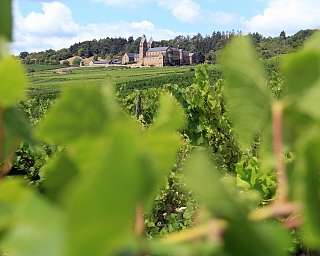 Ordensgemeinschaft im Weinberg – Stille, Meditation und spirituelle Auszeit I WUNDERORTE