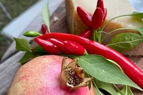 Frischer Granatapfel mit roten Chilis und Käse auf einem Holztisch im Garten – mediterraner Genussmoment I WUNDERORTE