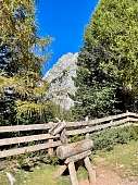 Rustikale Holzskulptur vor einem Zaun am Waldrand mit Blick auf die felsigen Südtiroler Berge I WUNDERORTE