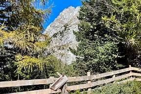 Rustikale Holzskulptur vor einem Zaun am Waldrand mit Blick auf die felsigen Südtiroler Berge I WUNDERORTE
