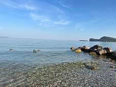 Zwei Enten schwimmen im klaren Wasser vor einem Kiesstrand am Gardasee; rechts liegen Felsbrocken, im Hintergrund erhebt sich die Rocca di Manerba unter blauem Himmel.