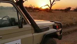 Safari-Jeep im goldenen Licht des Sonnenuntergangs vor markanten Schirmakazien