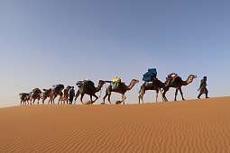 Eine Karawane zieht durch die Wüste – geführt von Tuareg mit beladenen Kamelen. Symbol für Stille, Weite und achtsames Reisen bei WÜSTENFEUER, einem der kraftvollsten WUNDERORTE.