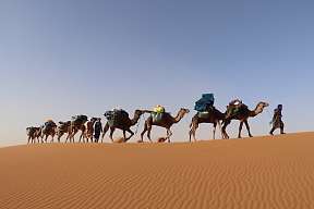 Eine Karawane zieht durch die Wüste – geführt von Tuareg mit beladenen Kamelen. Symbol für Stille, Weite und achtsames Reisen bei WÜSTENFEUER, einem der kraftvollsten WUNDERORTE.