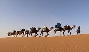 Kameltrekking eine Kette Kamel mit Gästen von Wunderorte in der Sahara
