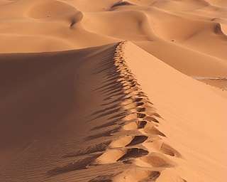 Fußspuren auf einer Sanddüne in weiter Wüstenlandschaft – Symbol für Rückzug, Selbsterkenntnis und stille Kraft. WÜSTENFEUER: Dein Weg zur inneren Klarheit mit WUNDERORTE.
