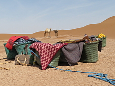 Beladene Körbe im Wüstencamp mit Kamelen im Hintergrund – Symbol für Bewegung, Einfachheit und stille Abenteuer bei WUNDERORTE