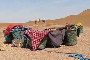 Beladene Körbe im Wüstencamp mit Kamelen im Hintergrund – Symbol für Bewegung, Einfachheit und stille Abenteuer bei WUNDERORTE