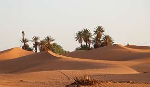 Sahara erleben – Rückzug und Weite in der marokkanischen Wüste