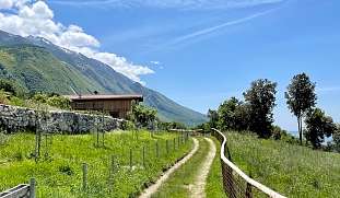 Wanderwege-Monte-Baldo-Ferienunterkunft-buchen