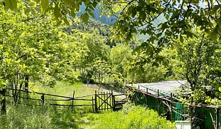 Weide-mit-Tor-Wunderorte