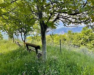 familienurlaub-wandern-paraglyding-gardasee-wunderorte-buchen