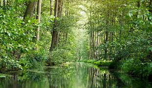 ferienunterkuenfte-im-spreewald-kanutouren-buchen