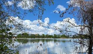 karpfensee-spreewald-ferienwohnung-buchen