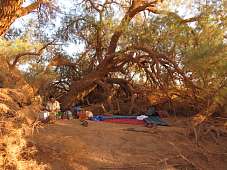 wuestenlager-arabische-wueste-medativ-reisen-kameltrekking-offroad-erholen-wunderreise-buchen
