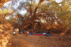 wuestenlager-arabische-wueste-medativ-reisen-kameltrekking-offroad-erholen-wunderreise-buchen