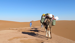 nomaden-wuestentouren-kameltrekking-marokko-meditatives-reisen-buchen